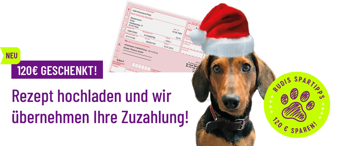 Orthomed-Header-Rudi-Rezept-Christmas_1175x510